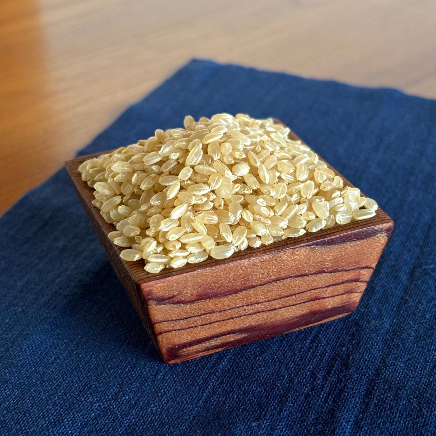 玄米【10㎏】令和7年産  信州合鴨農法米、無農薬・無化学肥料栽培｜星農家（ほしのや）